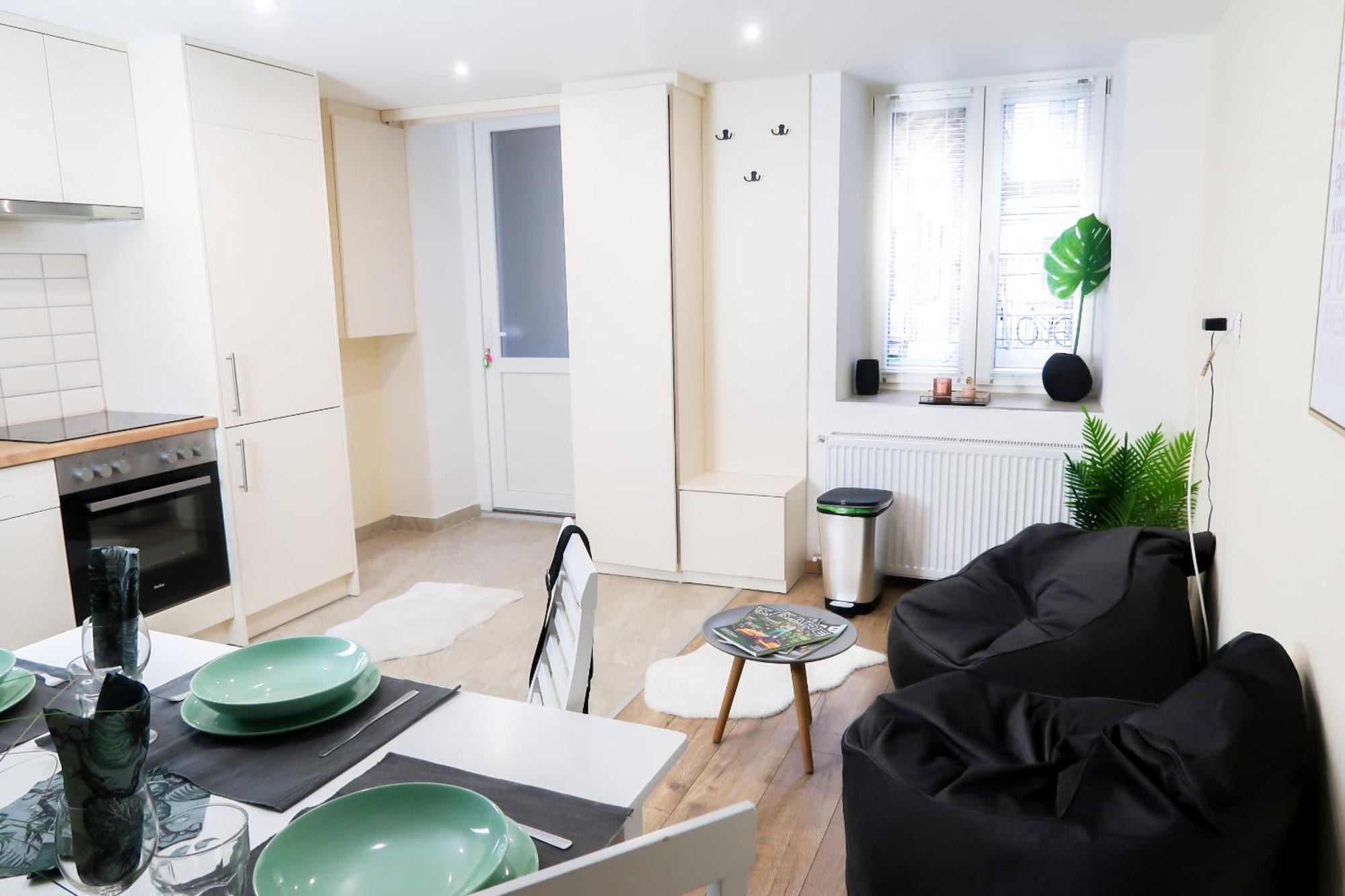 Budapest City Center, Nicely Renovated Apartment With 3 Bedrooms エクステリア 写真